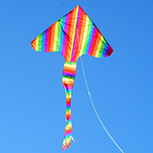 Delta kite Alexa-2